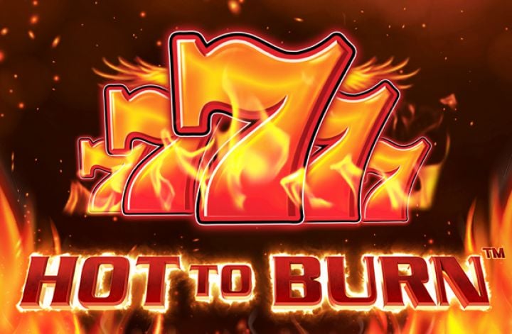 Merasakan Api Kemenangan Dengan Slot Hot to Burn